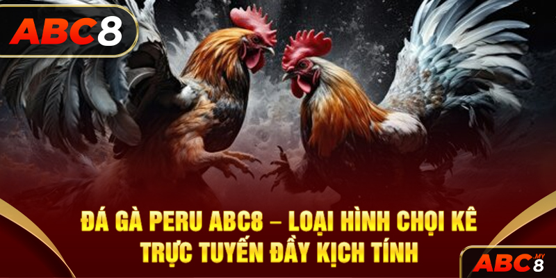 Đá Gà Peru ABC8 – Loại Hình Chọi Kê Trực Tuyến Đầy Kịch Tính