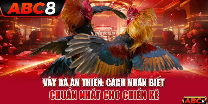 Vảy Gà Án Thiên: Cách Nhận Biết Chuẩn Nhất Cho Chiến Kê